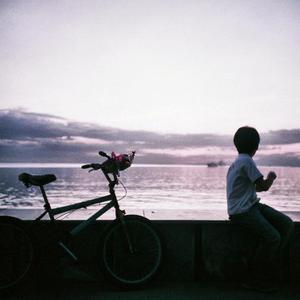 538精品在线观看
