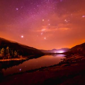 538精品在线观看
