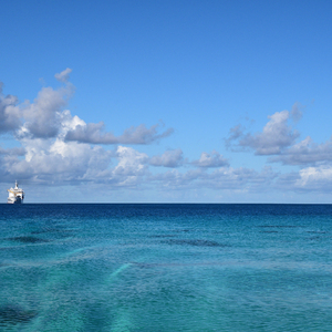 538精品在线观看
